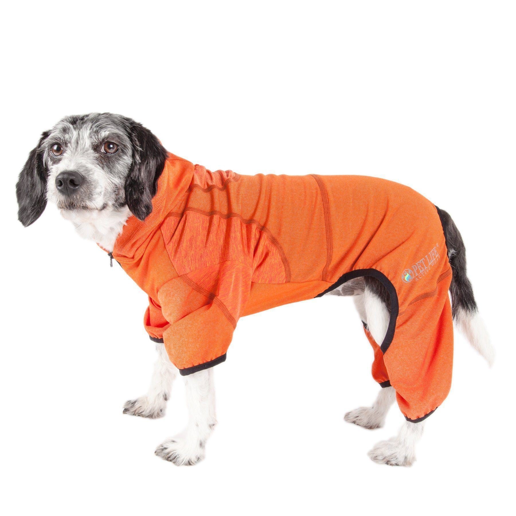 Pet Life ® Active 'Pawsterity' Mediumweight 4-Way-Stretch Yoga Fitness Dog Tracksuit Hoodie - BIG FRENCHIES