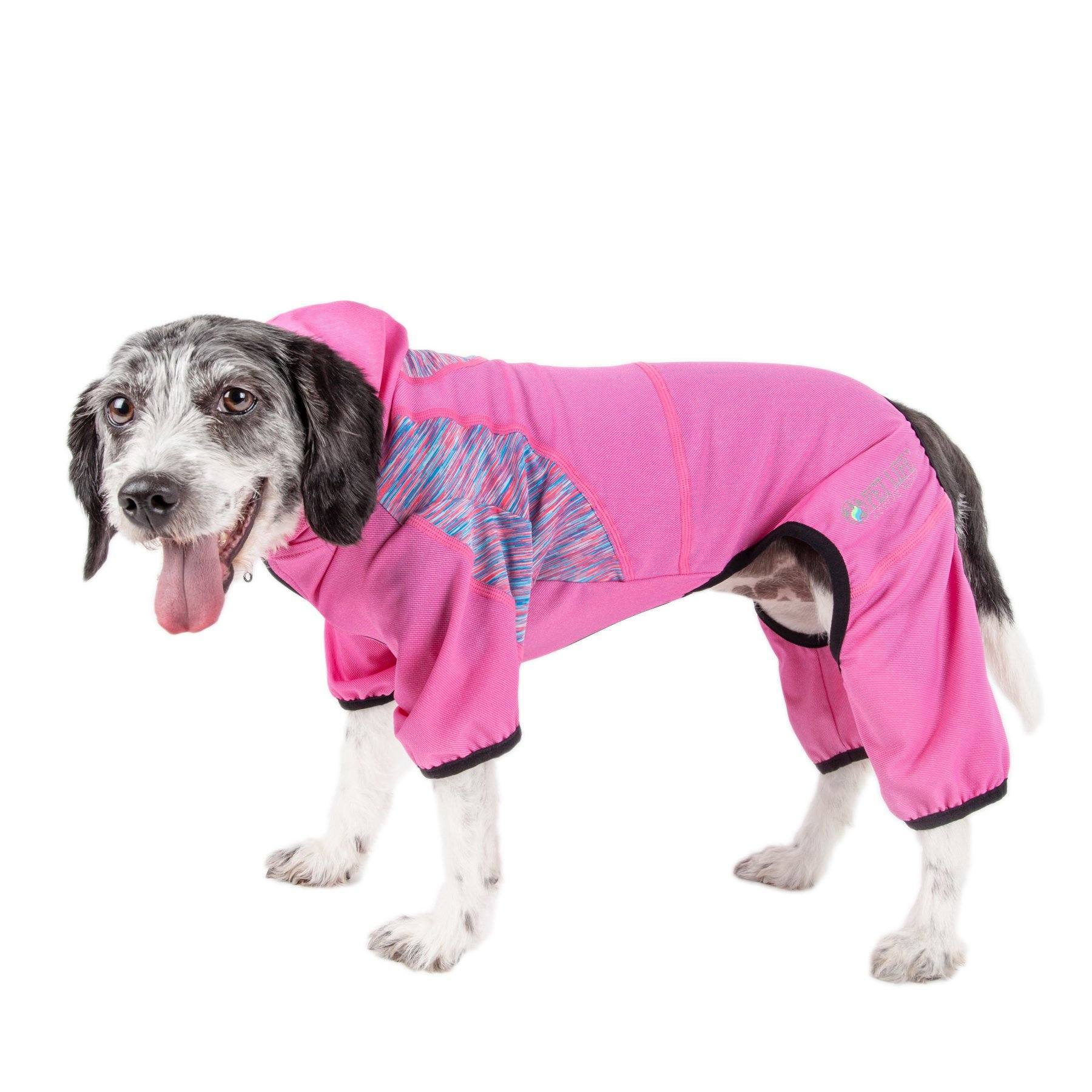 Pet Life ® Active 'Pawsterity' Mediumweight 4-Way-Stretch Yoga Fitness Dog Tracksuit Hoodie - BIG FRENCHIES