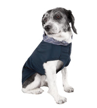 Pet Life ® Active 'Pull-Rover' 4-Way Stretch Sleeveless Fitness Yoga Dog T-Shirt Hoodie - BIG FRENCHIES