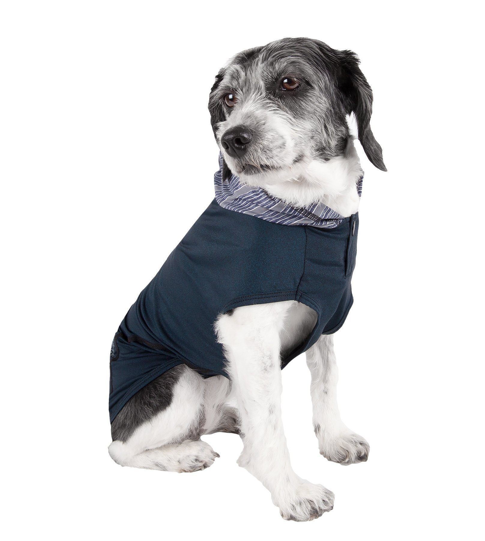 Pet Life ® Active 'Pull-Rover' 4-Way Stretch Sleeveless Fitness Yoga Dog T-Shirt Hoodie - BIG FRENCHIES