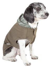 Pet Life ® Active 'Pull-Rover' 4-Way Stretch Sleeveless Fitness Yoga Dog T-Shirt Hoodie - BIG FRENCHIES