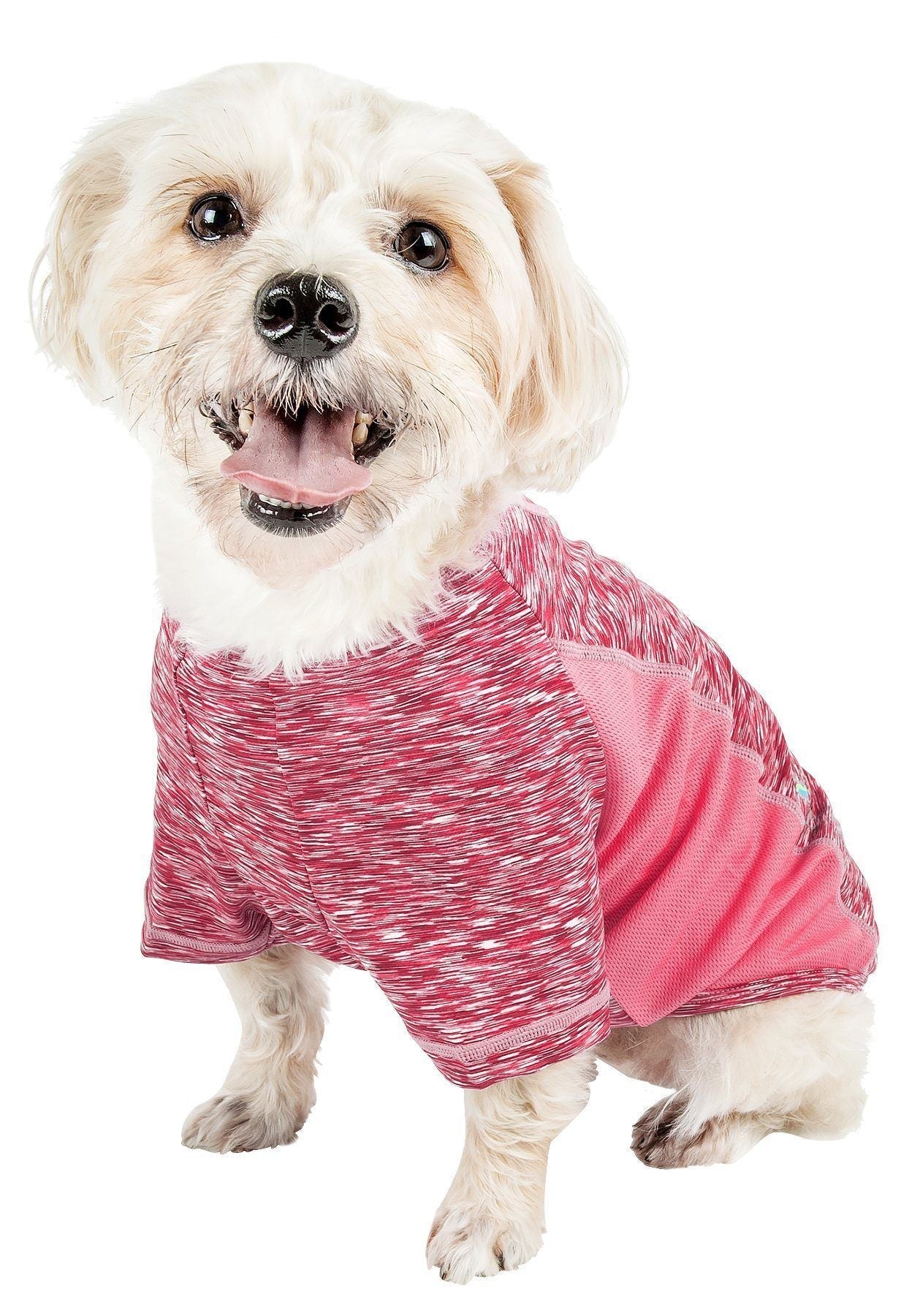Pet Life ® Active 'Warf Speed' Heathered Ultra-Stretch Yoga Fitness Dog T-Shirt - BIG FRENCHIES