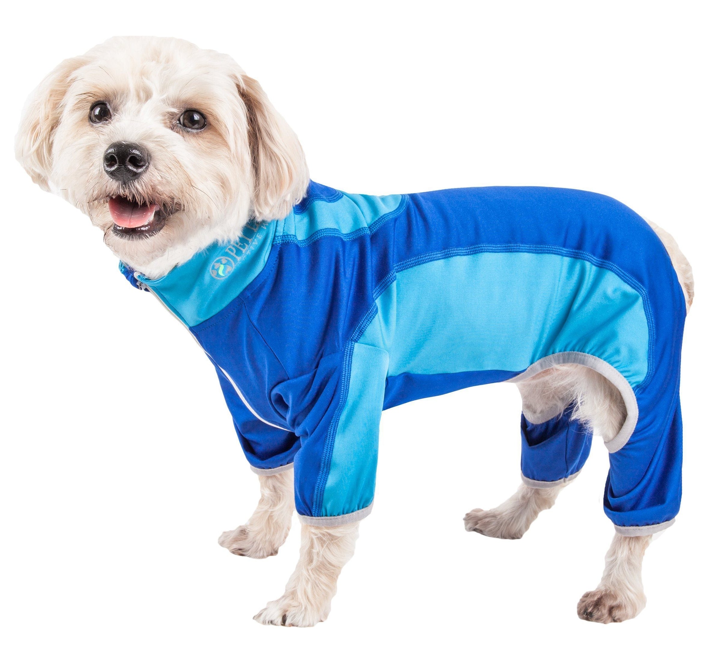 Pet Life ® Active 'Warm-Pup' Stretchy and Quick-Drying Fitness Dog Yoga Warm-Up Tracksuit - BIG FRENCHIES