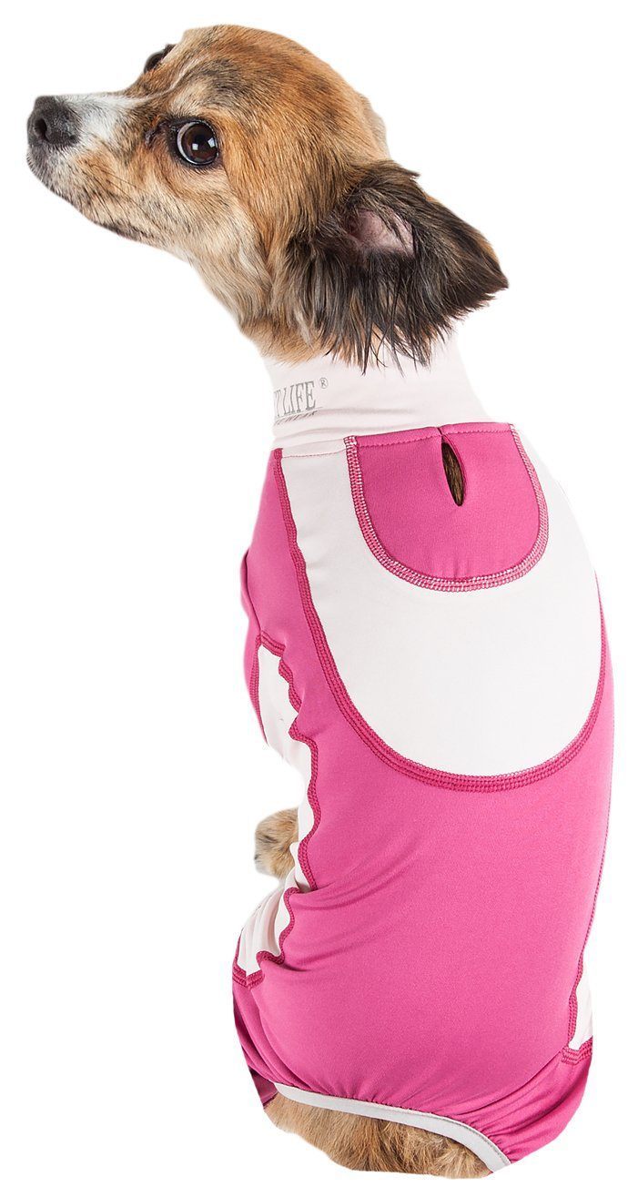 Pet Life ® Active 'Warm-Pup' Stretchy and Quick-Drying Fitness Dog Yoga Warm-Up Tracksuit - BIG FRENCHIES