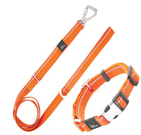 Pet Life ® 'Advent' Outdoor Series 3M Reflective 2-in-1 Durable Martingale Training Dog Leash and Collar - BIG FRENCHIES