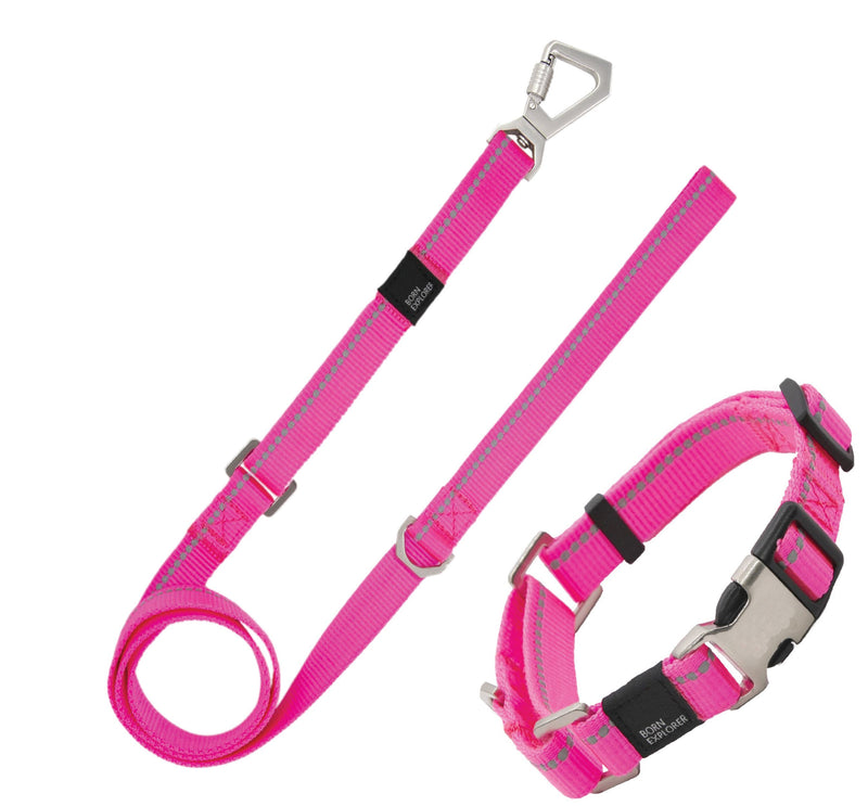 Pet Life ® 'Advent' Outdoor Series 3M Reflective 2-in-1 Durable Martingale Training Dog Leash and Collar - BIG FRENCHIES