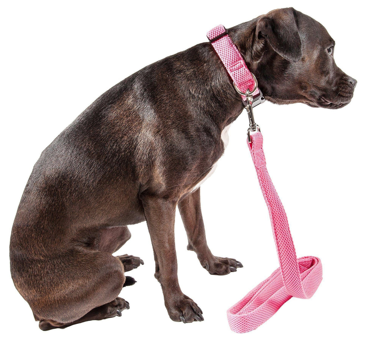 Pet Life ® 'Aero Mesh' 2-In-1 Breathable and Adjustable Dual-Sided Mesh Dog Leash and Collar - BIG FRENCHIES