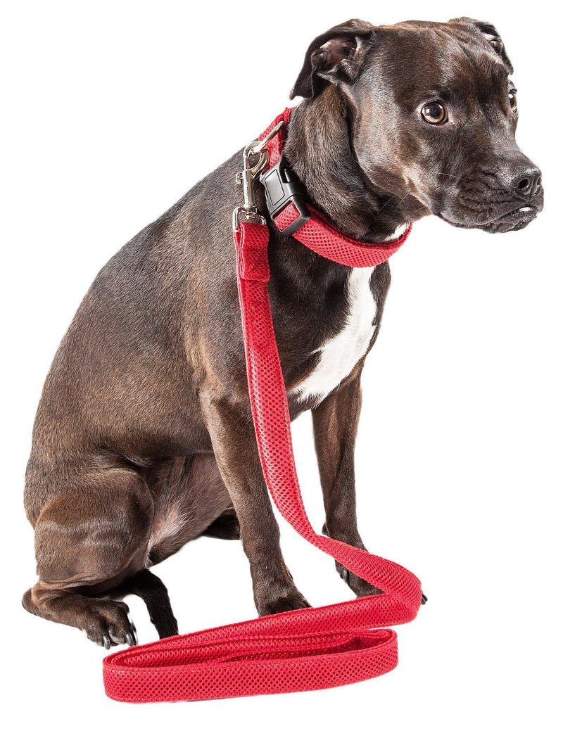 Pet Life ® 'Aero Mesh' 2-In-1 Breathable and Adjustable Dual-Sided Mesh Dog Leash and Collar - BIG FRENCHIES