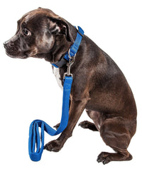 Pet Life ® 'Aero Mesh' 2-In-1 Breathable and Adjustable Dual-Sided Mesh Dog Leash and Collar - BIG FRENCHIES