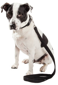 Pet Life ® 'Aero Mesh' 2-In-1 Breathable and Adjustable Dual-Sided Mesh Dog Leash and Collar - BIG FRENCHIES
