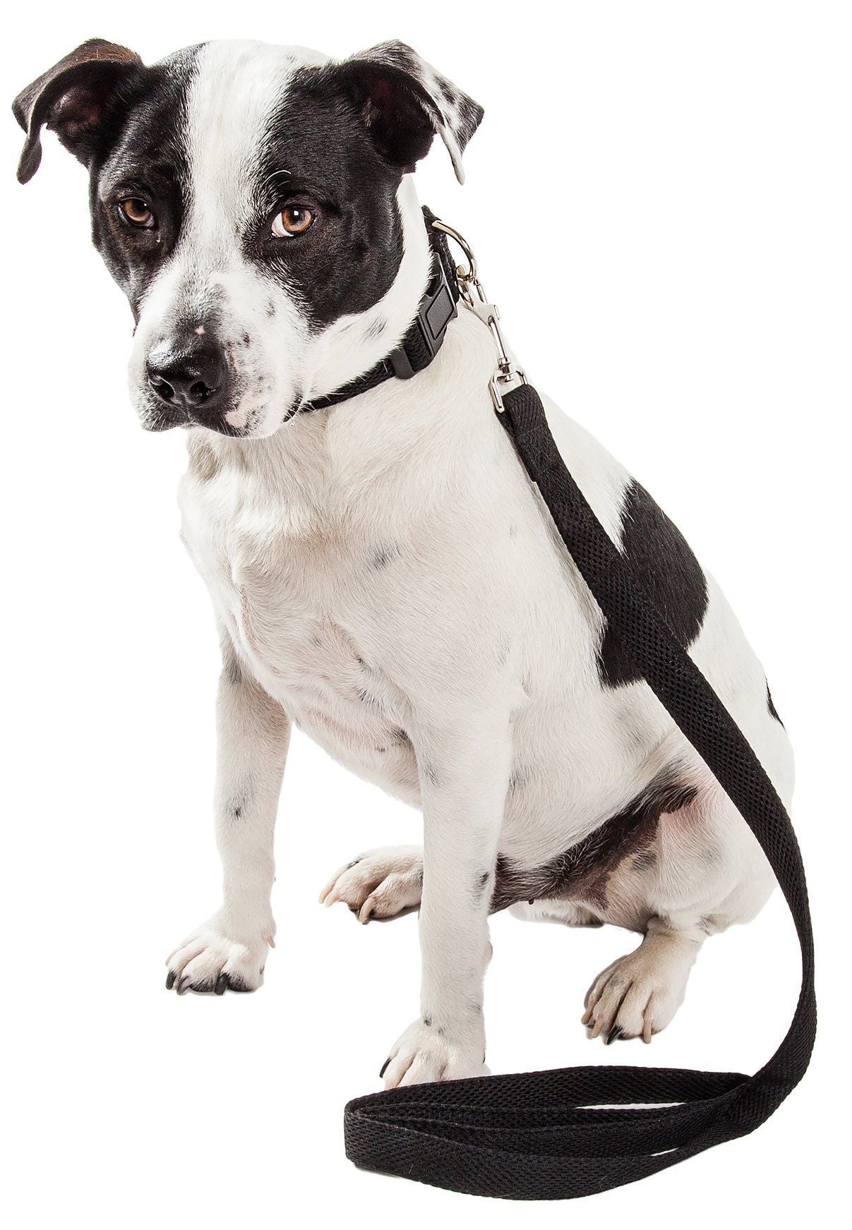 Pet Life ® 'Aero Mesh' 2-In-1 Breathable and Adjustable Dual-Sided Mesh Dog Leash and Collar - BIG FRENCHIES