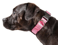 Pet Life ® 'Aero Mesh' Dual-Sided Breathable and Adjustable Thick Mesh Dog Collar - BIG FRENCHIES