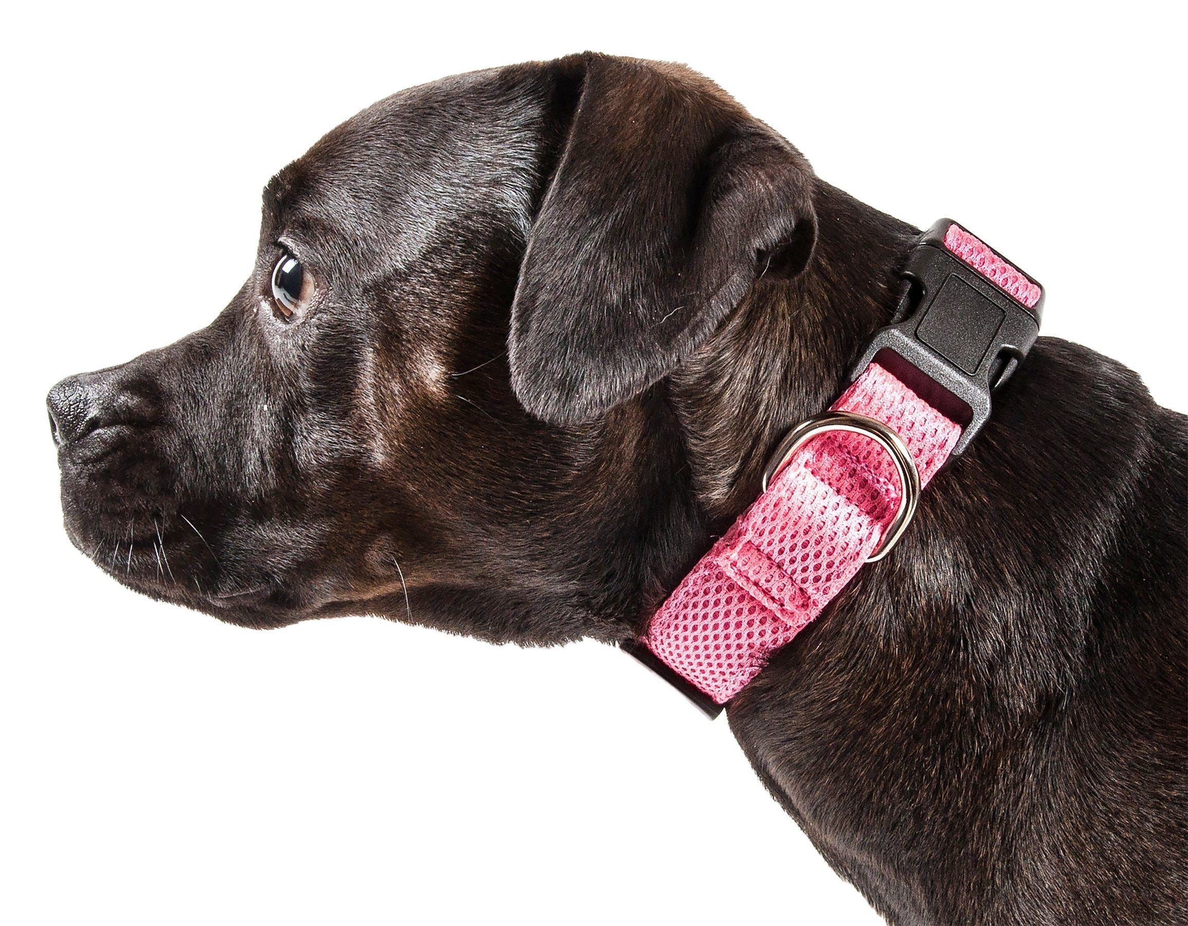 Pet Life ® 'Aero Mesh' Dual-Sided Breathable and Adjustable Thick Mesh Dog Collar - BIG FRENCHIES