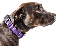 Pet Life ® 'Aero Mesh' Dual-Sided Breathable and Adjustable Thick Mesh Dog Collar - BIG FRENCHIES