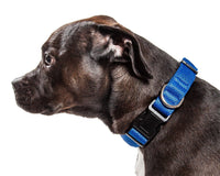 Pet Life ® 'Aero Mesh' Dual-Sided Breathable and Adjustable Thick Mesh Dog Collar - BIG FRENCHIES