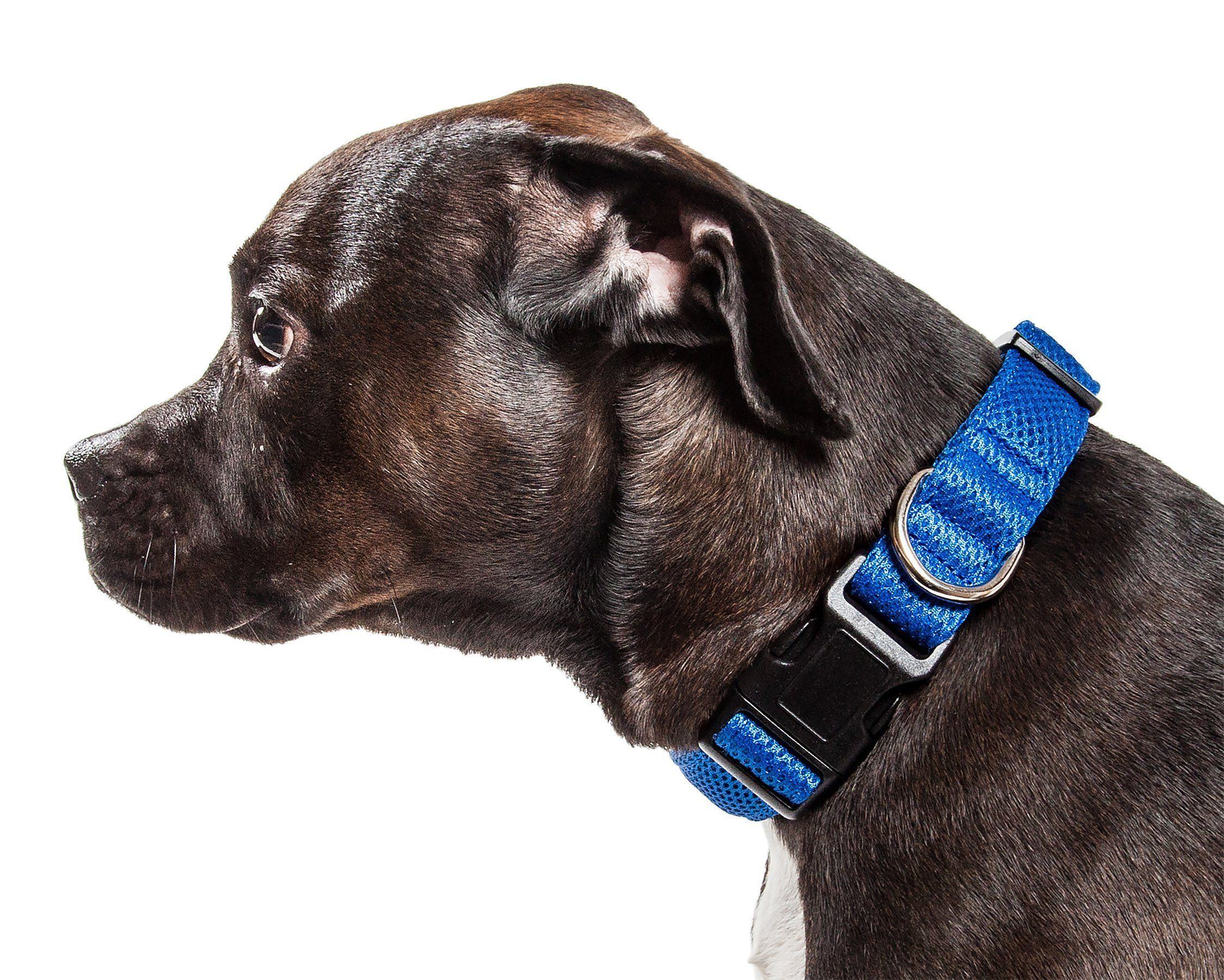 Pet Life ® 'Aero Mesh' Dual-Sided Breathable and Adjustable Thick Mesh Dog Collar - BIG FRENCHIES