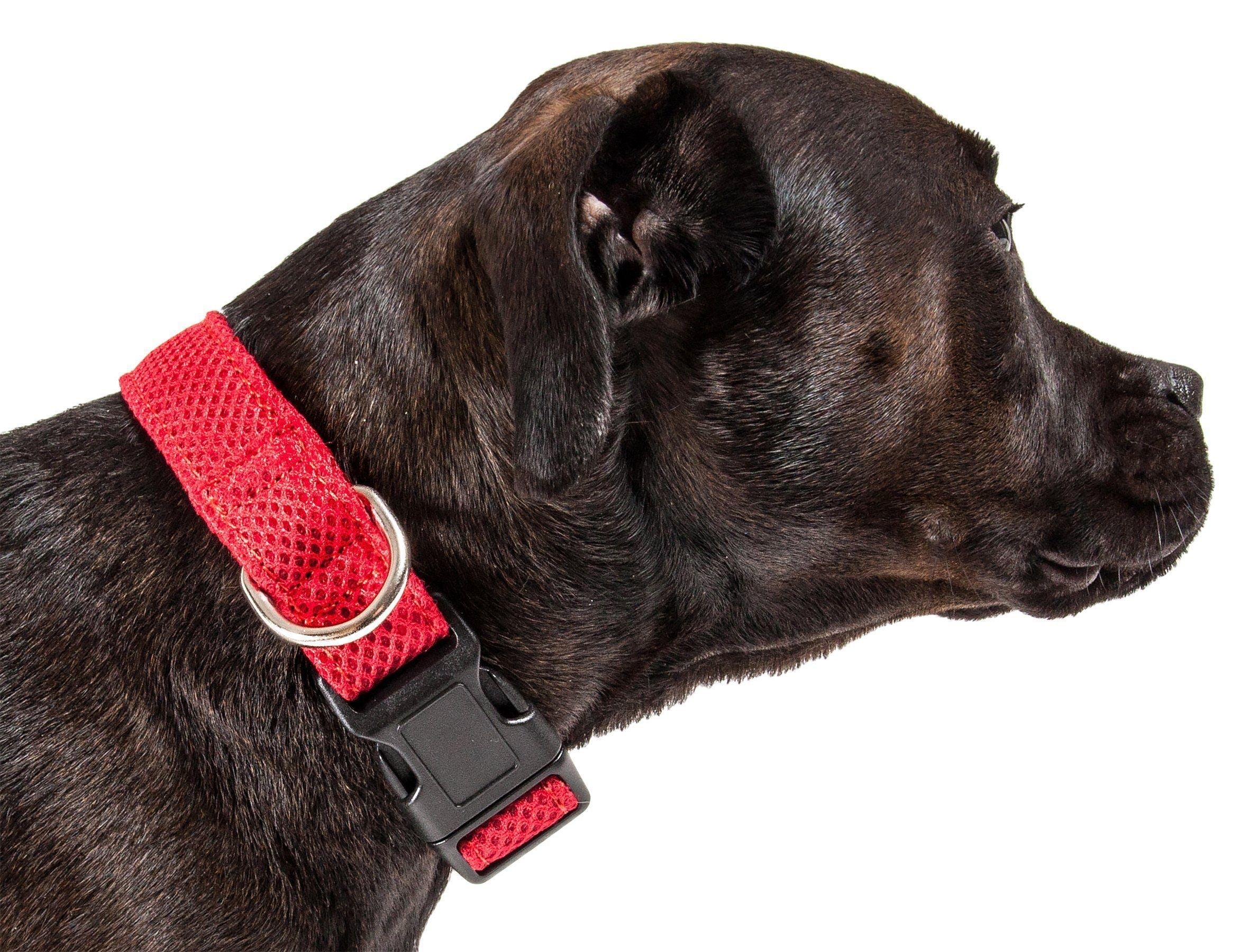 Pet Life ® 'Aero Mesh' Dual-Sided Breathable and Adjustable Thick Mesh Dog Collar - BIG FRENCHIES
