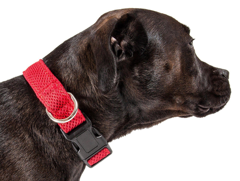 Pet Life ® 'Aero Mesh' Dual-Sided Breathable and Adjustable Thick Mesh Dog Collar - BIG FRENCHIES
