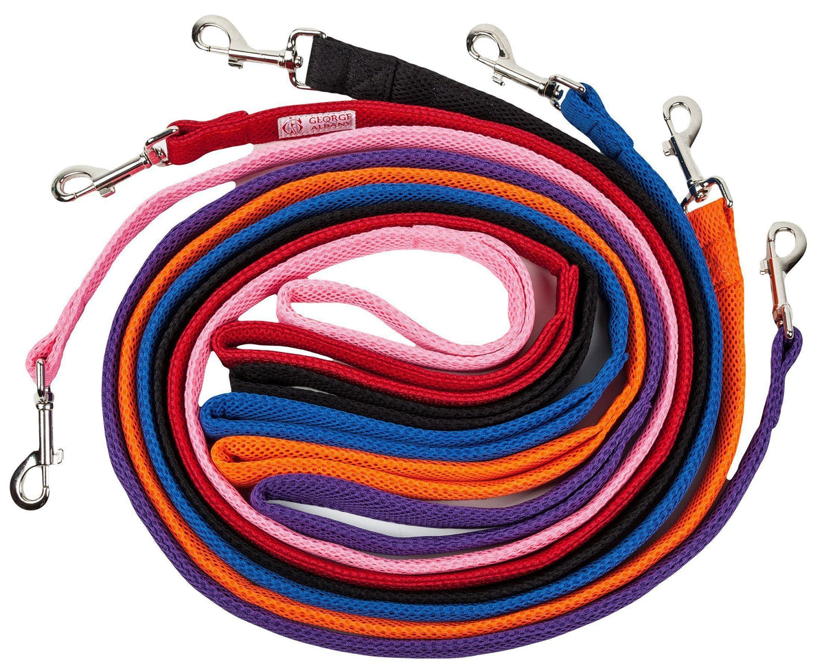 Pet Life ® 'Aero Mesh' Breathable and Adjustable Dual Sided Thick Mesh Dog Leash - BIG FRENCHIES
