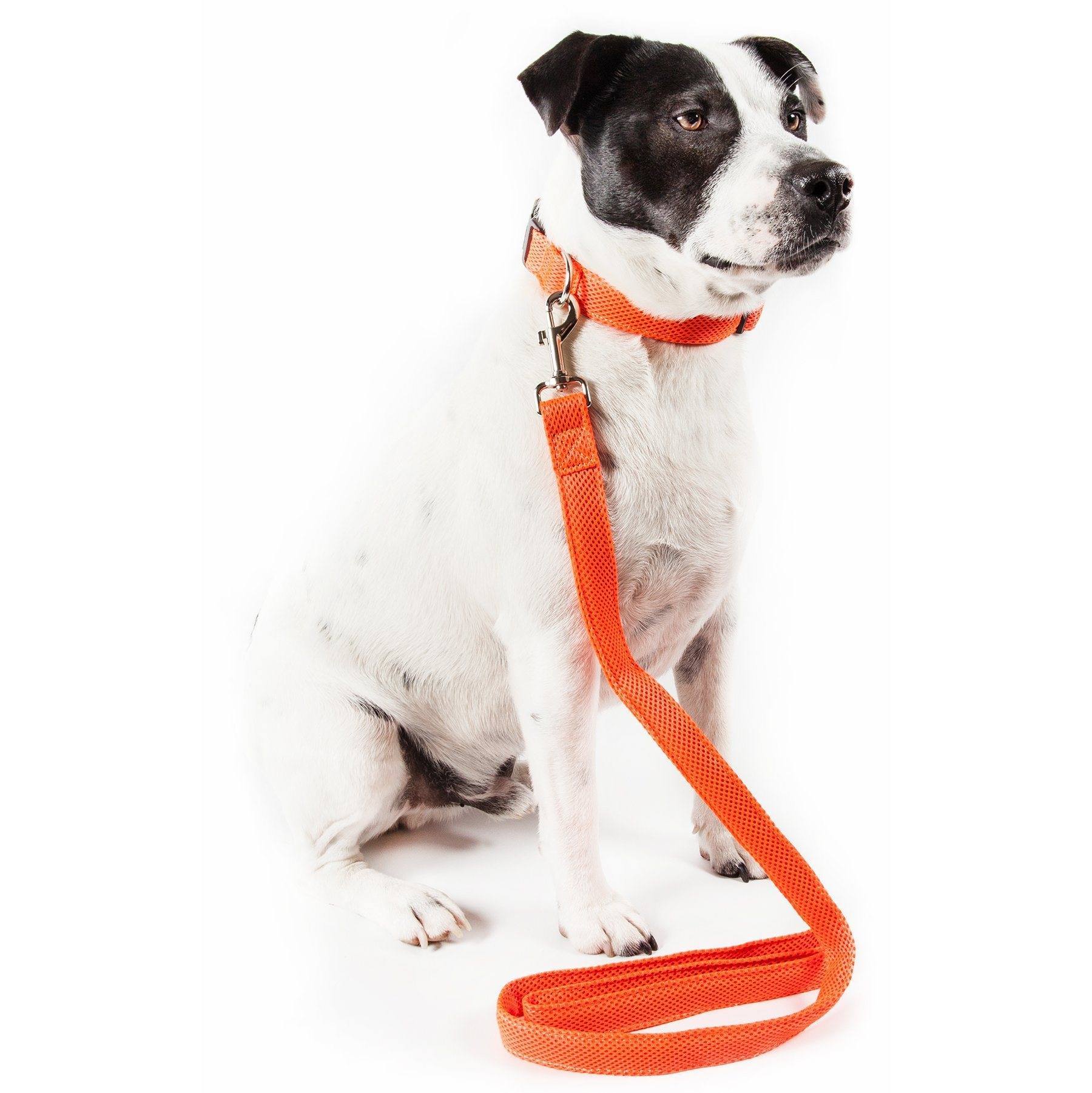 Pet Life ® 'Aero Mesh' Breathable and Adjustable Dual Sided Thick Mesh Dog Leash - BIG FRENCHIES
