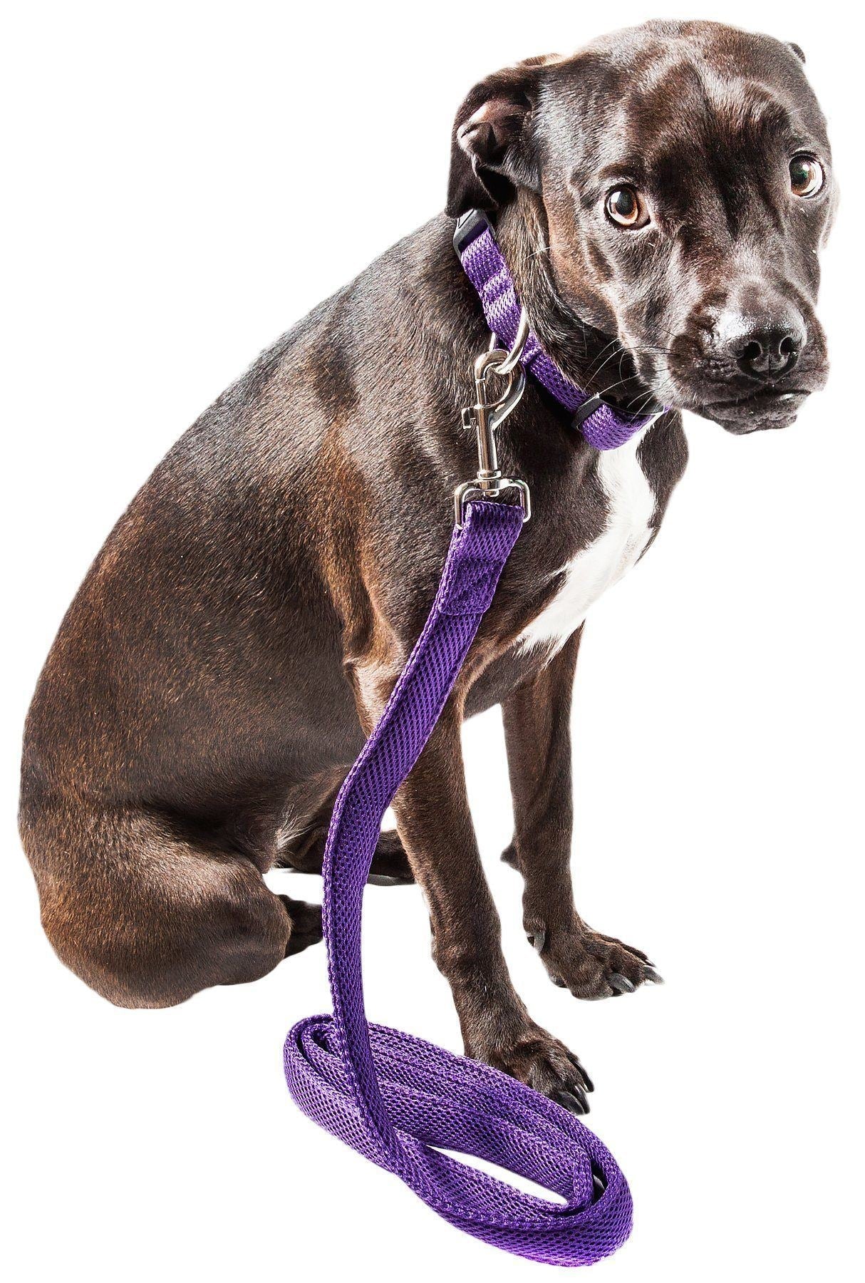 Pet Life ® 'Aero Mesh' Breathable and Adjustable Dual Sided Thick Mesh Dog Leash - BIG FRENCHIES