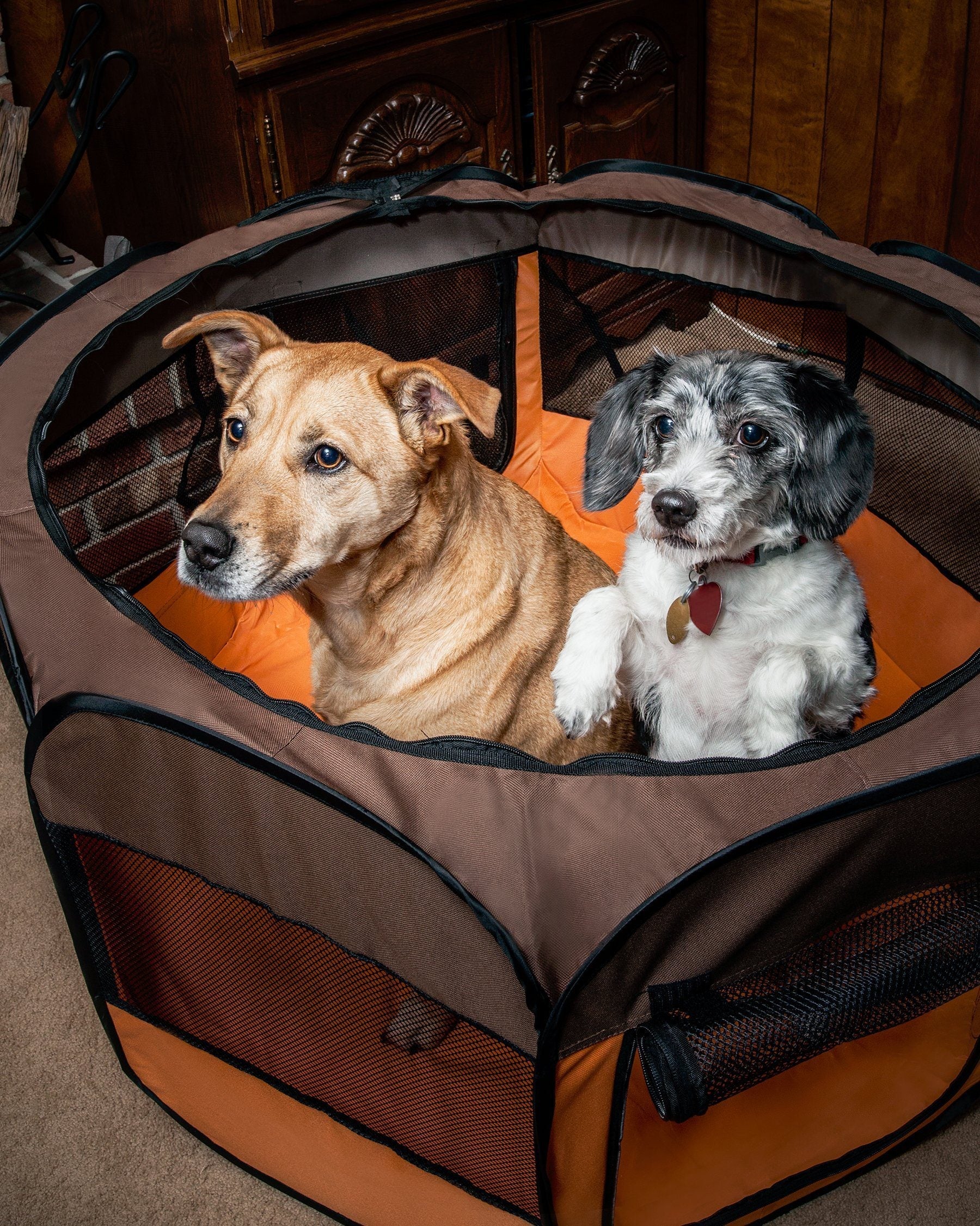 Pet Life ® 'All-Terrain' Lightweight Easy Folding Wire-Framed Collapsible Travel Pet Dog Playpen crate - BIG FRENCHIES