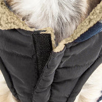 Pet Life ® 'Allegiance' Classical Insulated Plaid Fashion Dog Jacket - BIG FRENCHIES