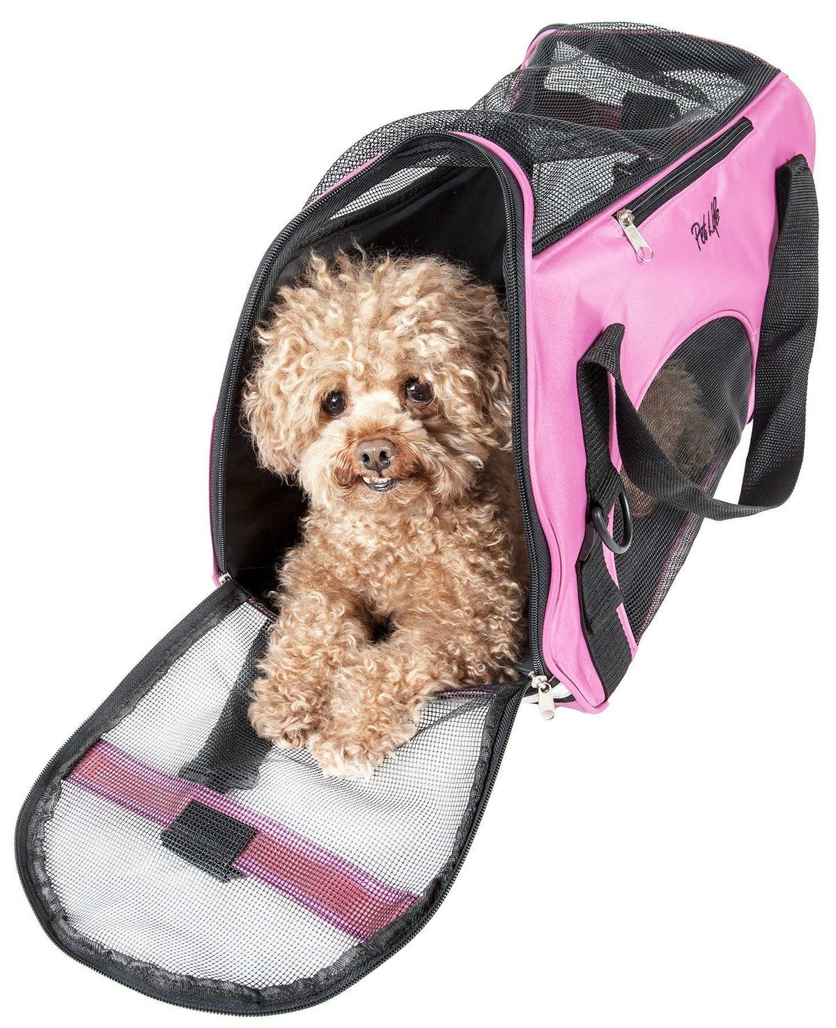 Pet Life ® 'Altitude Force' Airline Approved Sporty Zippered Folding Fashion Pet Dog Carrier - BIG FRENCHIES