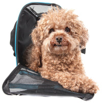 Pet Life ® 'Altitude Force' Airline Approved Sporty Zippered Folding Fashion Pet Dog Carrier - BIG FRENCHIES