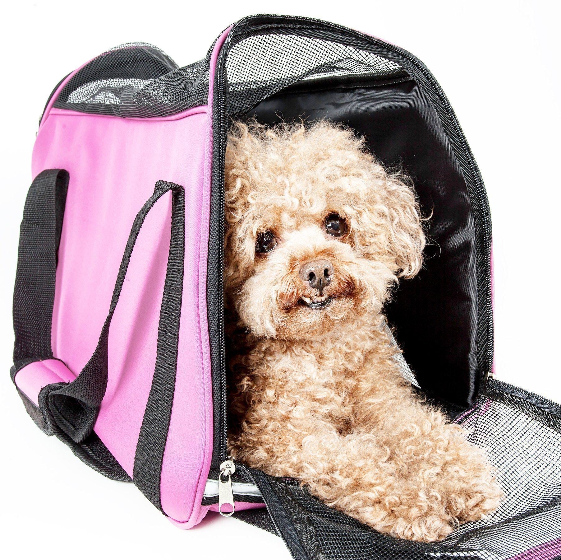 Pet Life ® 'Altitude Force' Airline Approved Sporty Zippered Folding Fashion Pet Dog Carrier - BIG FRENCHIES