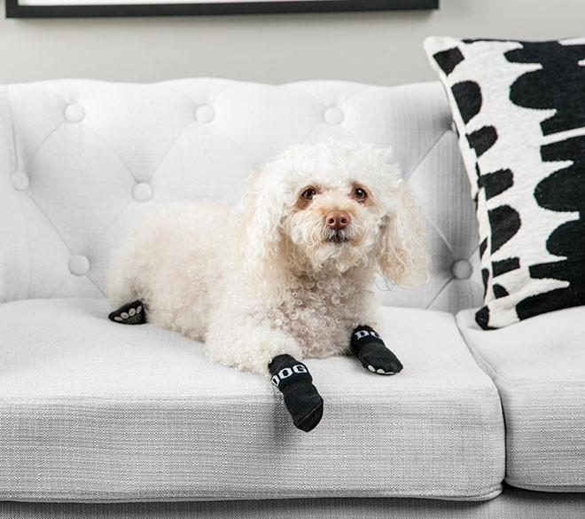 Pet Life ® Anti-Slip Rubberized Gripped Breathable Stretch Pet Dog Socks - Set of 4 - BIG FRENCHIES