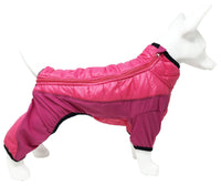 Pet Life ® 'Aura-Vent' Lightweight 4-Season Stretch and Quick-Dry Full Body Dog Jacket - BIG FRENCHIES