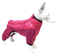 Pet Life ® 'Aura-Vent' Lightweight 4-Season Stretch and Quick-Dry Full Body Dog Jacket - BIG FRENCHIES