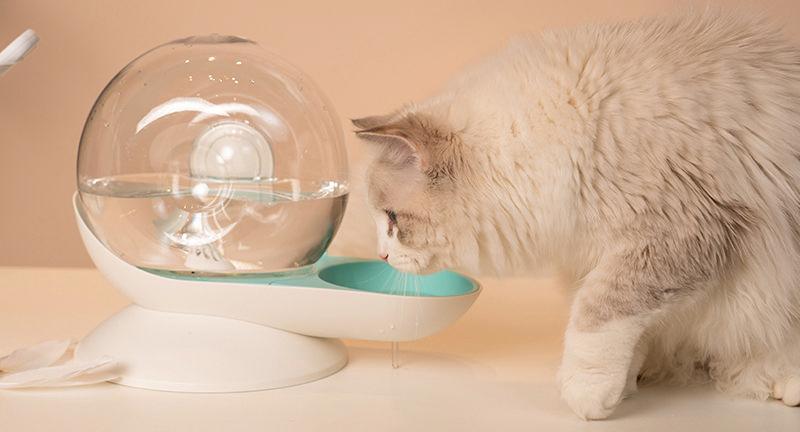 Pet Life ® 'Auto-Myst' Snail Shaped 2-in-1 Automated Gravity Pet Filtered Water Dispenser and Food Bowl - BIG FRENCHIES