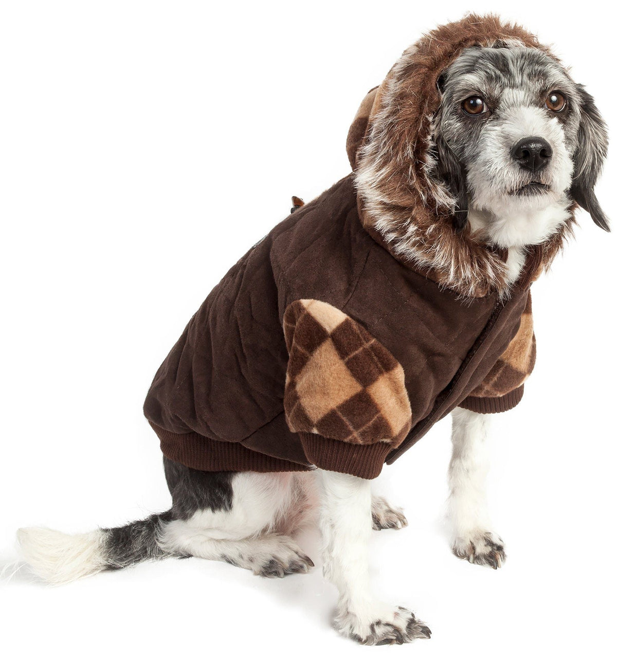 Pet Life ® 'Aygyle Style' 3M Insulated Designer Patterned Suede Dog Coat w/ Removable Hood - BIG FRENCHIES