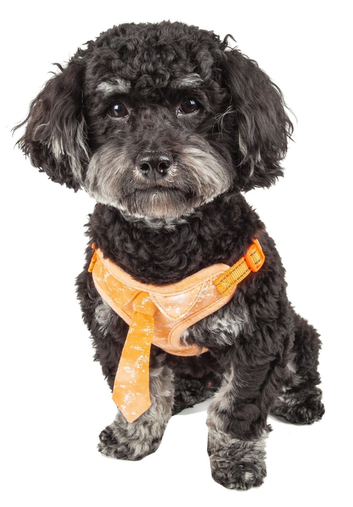 Pet Life ® 'Bonatied' Mesh Reversed Adjustable Fashion Dog Harness W/ Designer Neck Tie - BIG FRENCHIES