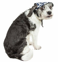 Pet Life ® 'Bone Cappa' Graffiti Sculptured Uv Protectant Adjustable Fashion Dog Hat Cap - BIG FRENCHIES