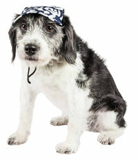 Pet Life ® 'Bone Cappa' Graffiti Sculptured Uv Protectant Adjustable Fashion Dog Hat Cap - BIG FRENCHIES