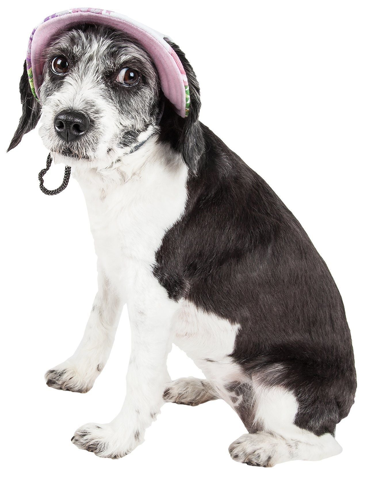 Pet Life ® 'Botanic Bark' Floral UV Protectant Adjustable Fashion Canopy Brimmed Dog Hat Cap - BIG FRENCHIES