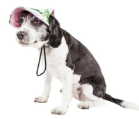 Pet Life ® 'Botanic Bark' Floral Uv Protectant Adjustable Fashion Dog Hat Cap - BIG FRENCHIES