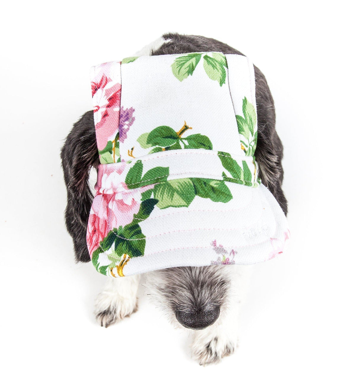 Pet Life ® 'Botanic Bark' Floral Uv Protectant Adjustable Fashion Dog Hat Cap - BIG FRENCHIES