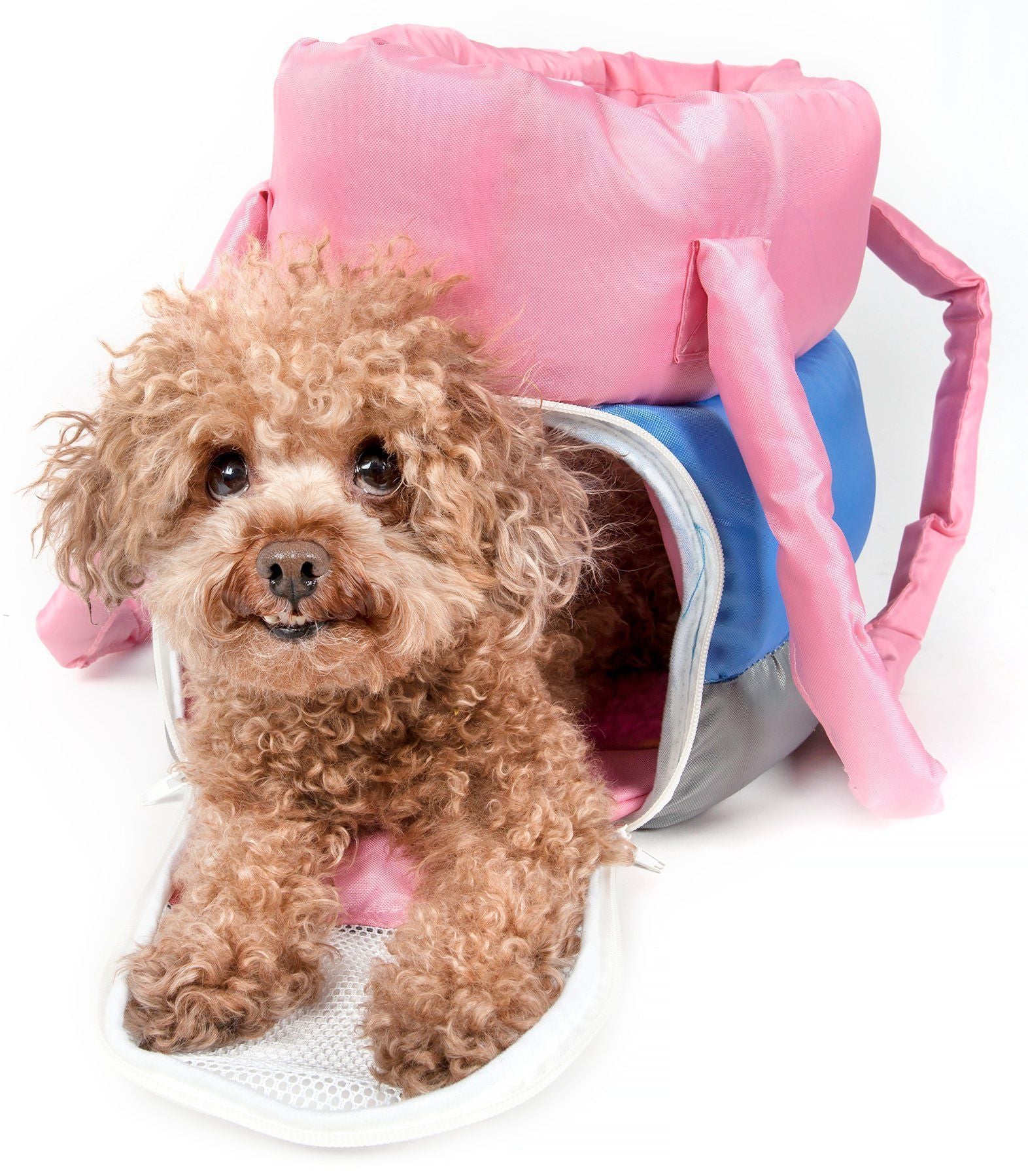 Pet Life ® 'Bubble-Poly' Tri-Colored Winter Insulated Fashion Designer Pet Dog Carrier - BIG FRENCHIES