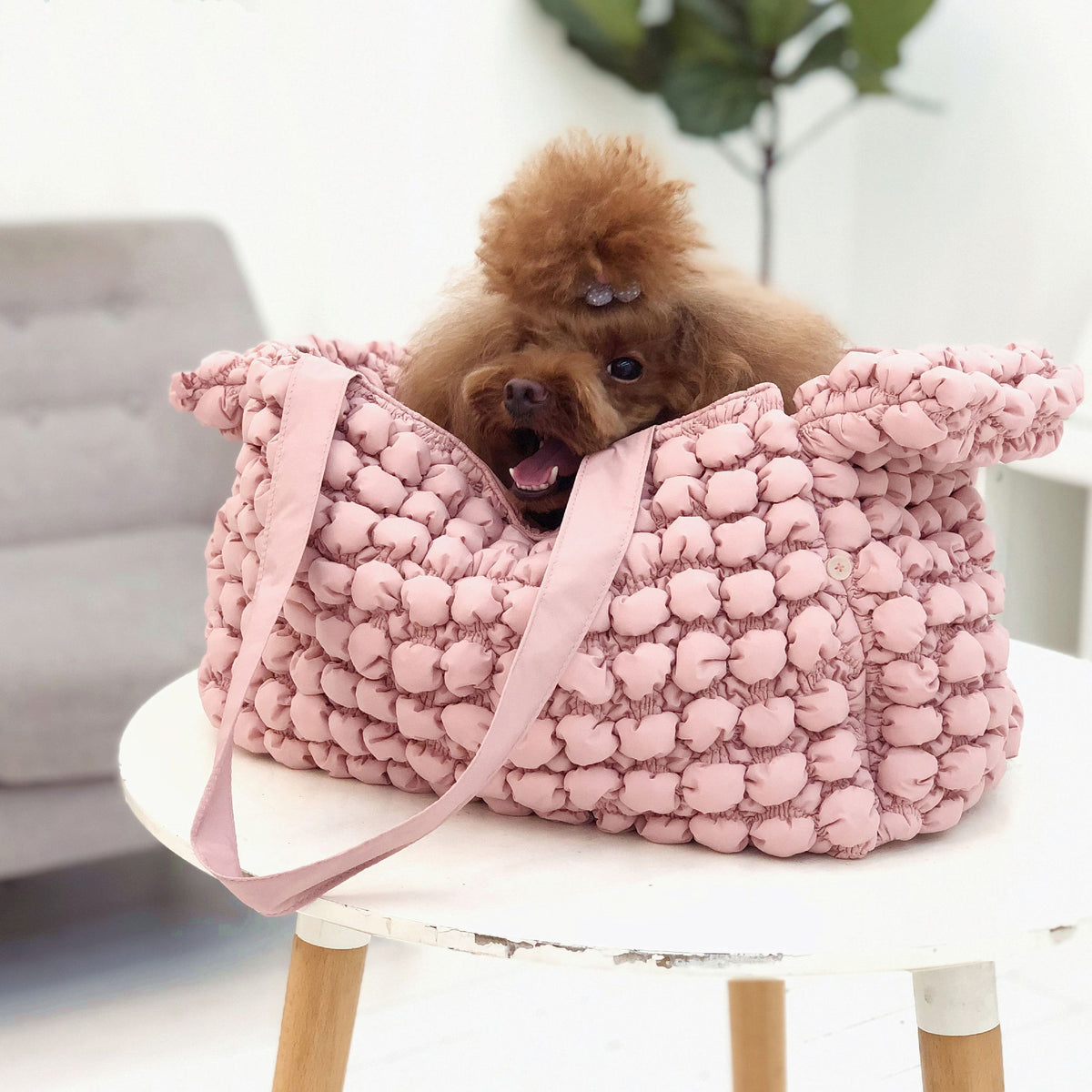 Pet Life ® 'Bubble Vogue' Ultra-Plush Fashion Designer Pet Carrier - BIG FRENCHIES