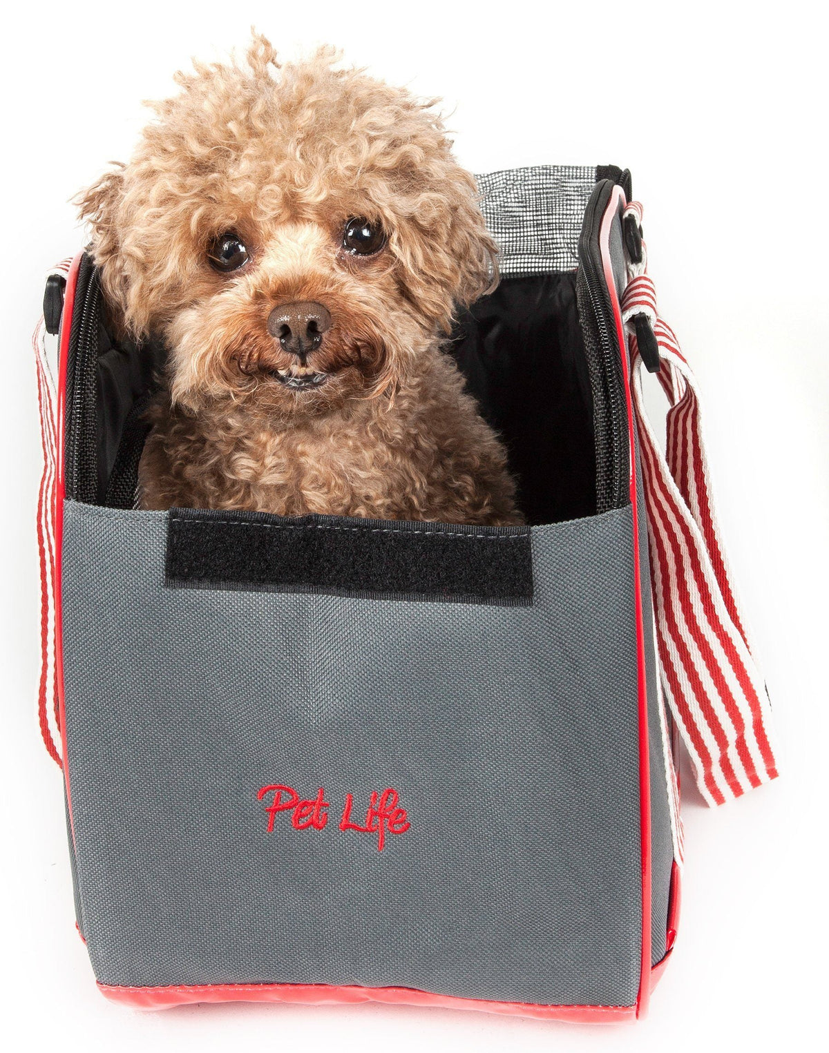 Pet Life ® 'Candy Cane' striped Fashion Designer Travel Pet Dog Carrier - BIG FRENCHIES