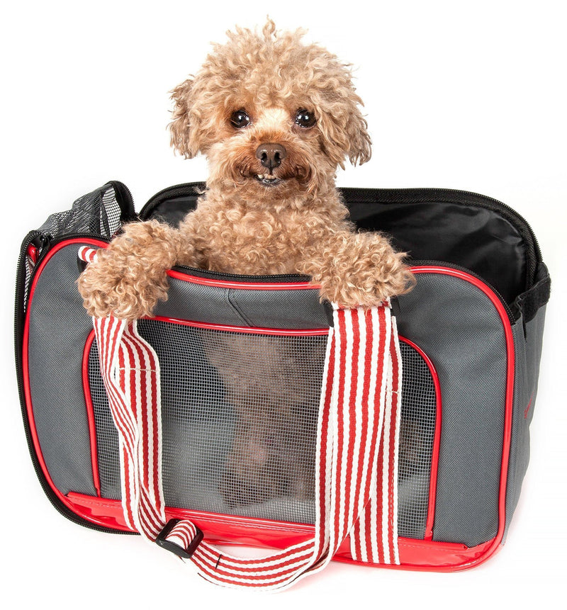 Pet Life ® 'Candy Cane' striped Fashion Designer Travel Pet Dog Carrier - BIG FRENCHIES