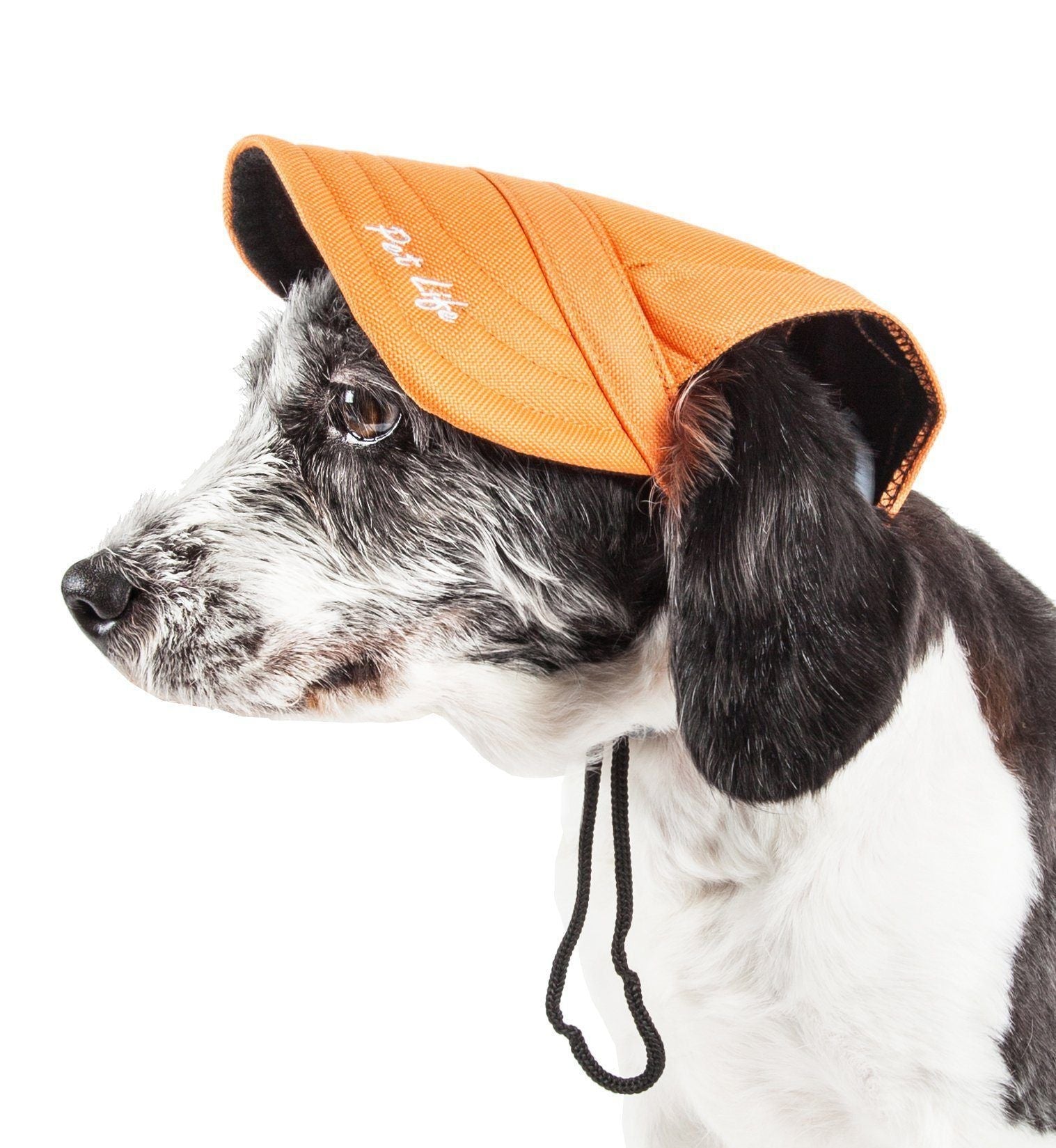 Pet Life ® 'Cap-Tivating' UV Protectant Adjustable Fashion Dog Hat Cap - BIG FRENCHIES