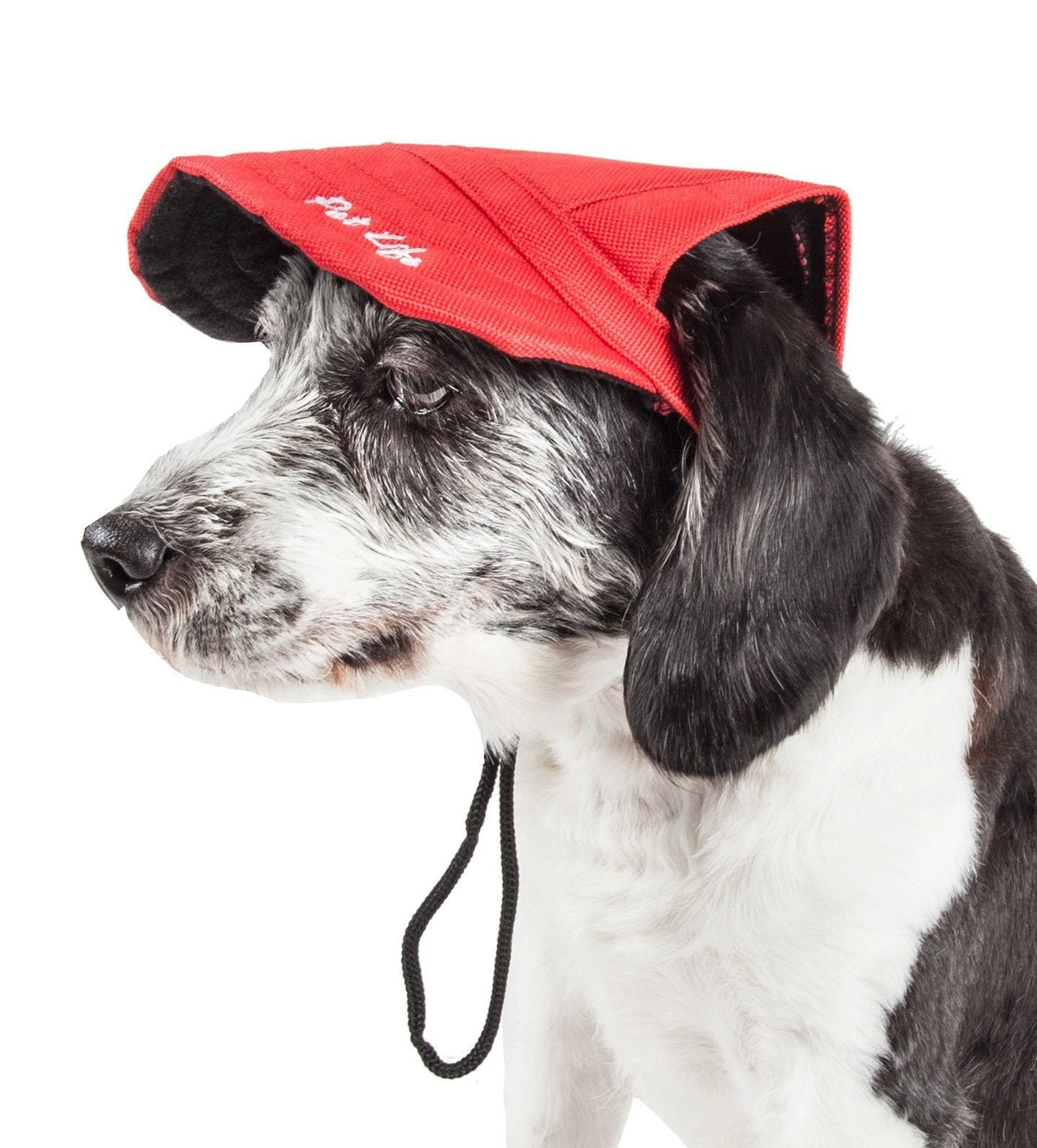 Pet Life ® 'Cap-Tivating' UV Protectant Adjustable Fashion Dog Hat Cap - BIG FRENCHIES