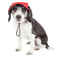 Pet Life ® 'Cap-Tivating' UV Protectant Adjustable Fashion Dog Hat Cap - BIG FRENCHIES