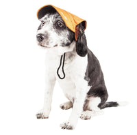 Pet Life ® 'Cap-Tivating' UV Protectant Adjustable Fashion Dog Hat Cap - BIG FRENCHIES