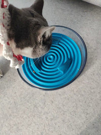 Pet Life ® 'Cirlicue' Shark Fin Shaped Modern Slow Feeding Pet Bowl - BIG FRENCHIES
